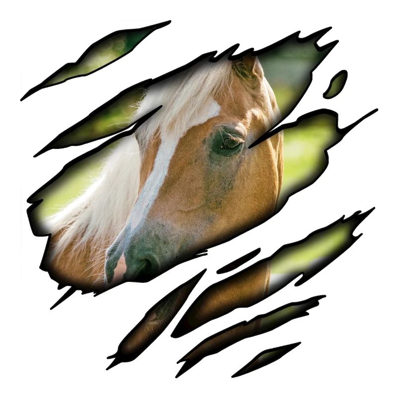 Haflinger in mir