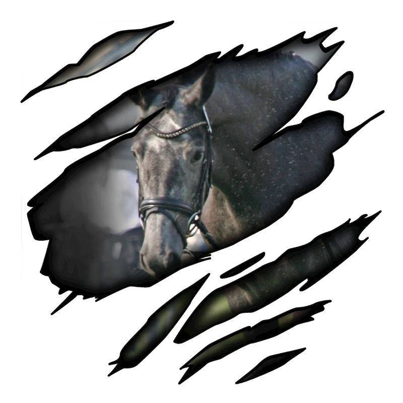 Trakehner in mir
