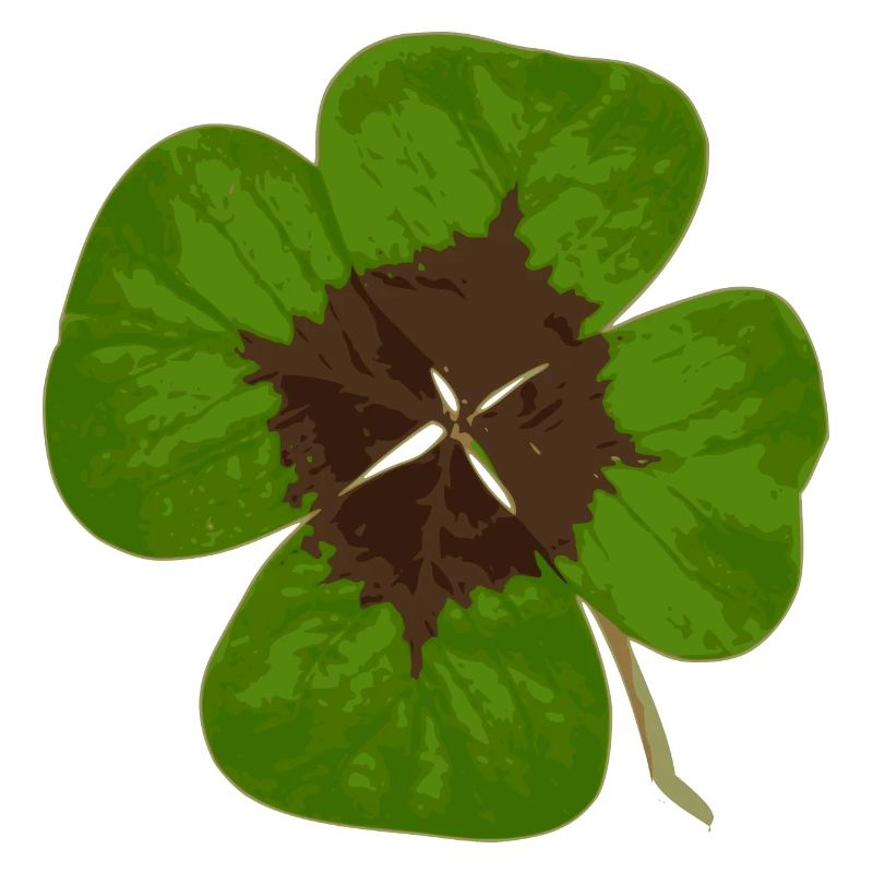 Trèfle à 4 feuilles