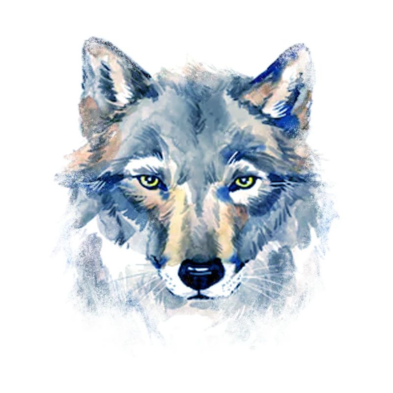 Art Wolf