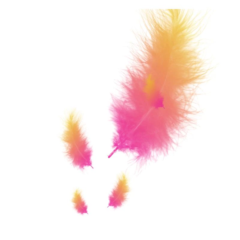 feather