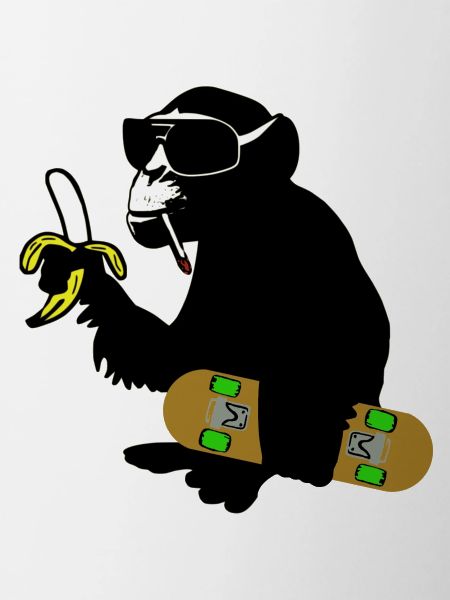 skateboard monkey