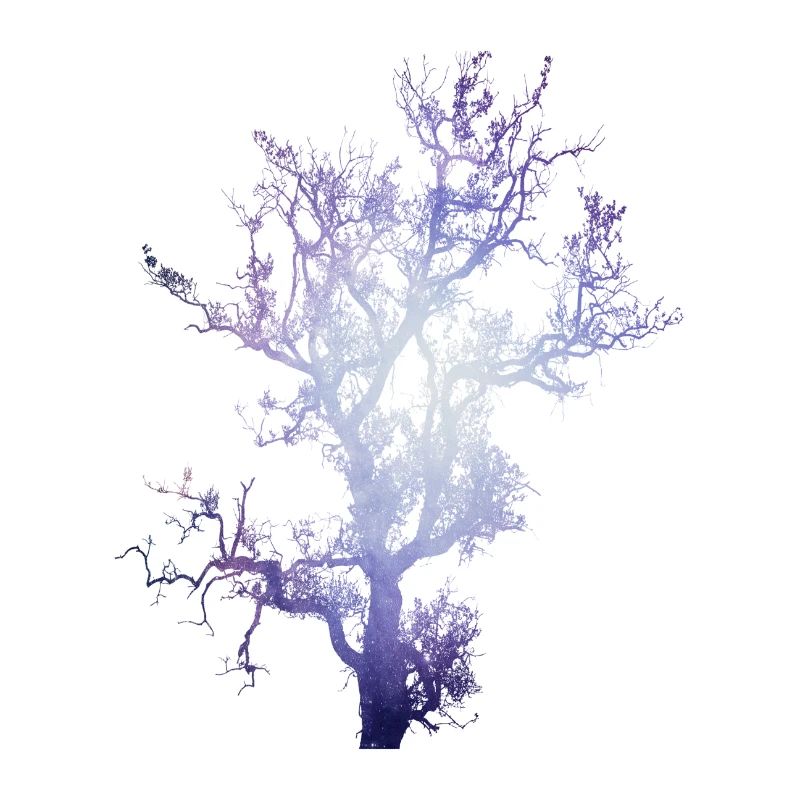 Space tree