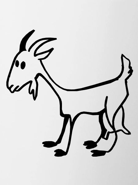 Goat kid