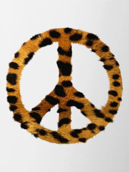 Peace my love