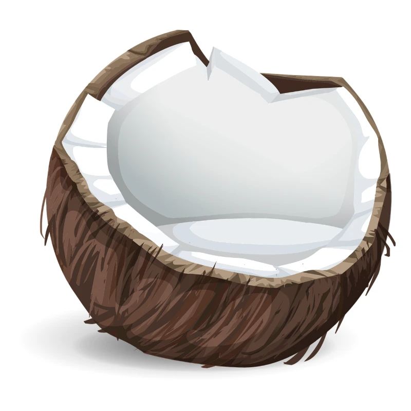 coconut