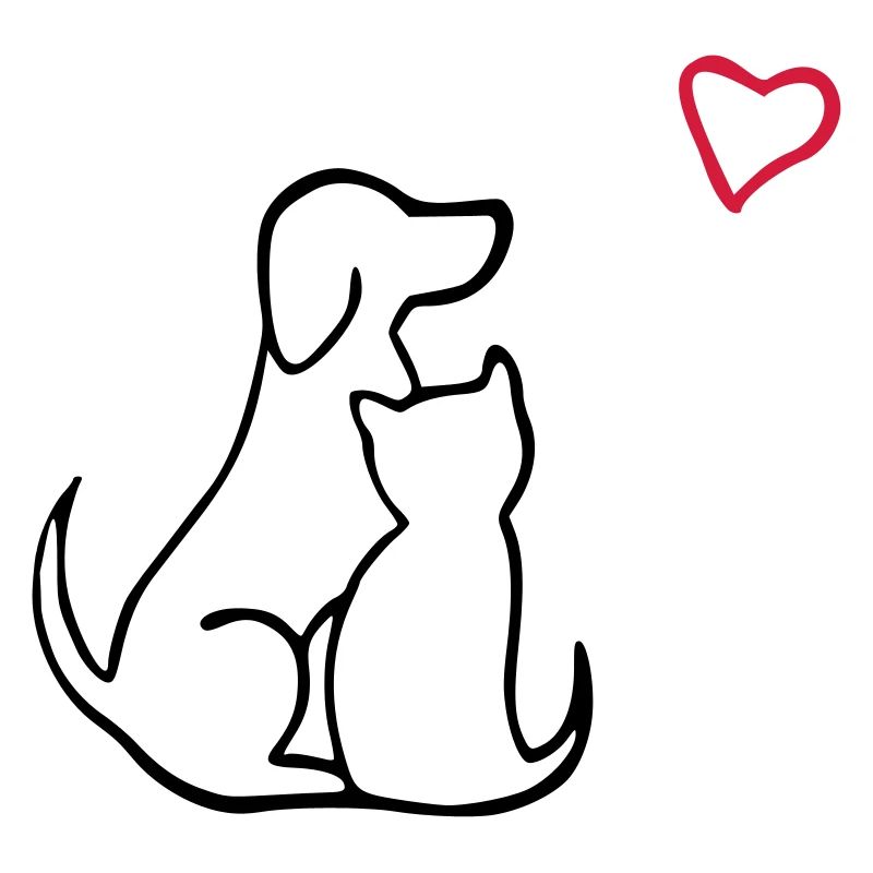 chien chat amour