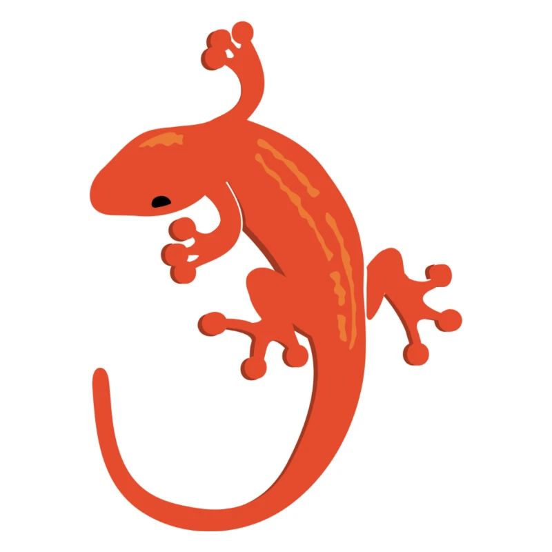 Lizard Salamandra Gift Gift Idea Gecko