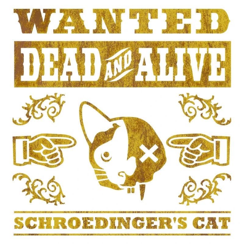 Le chat de Schrödinger, affligé