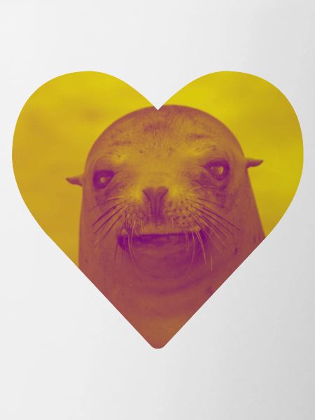 I love seals