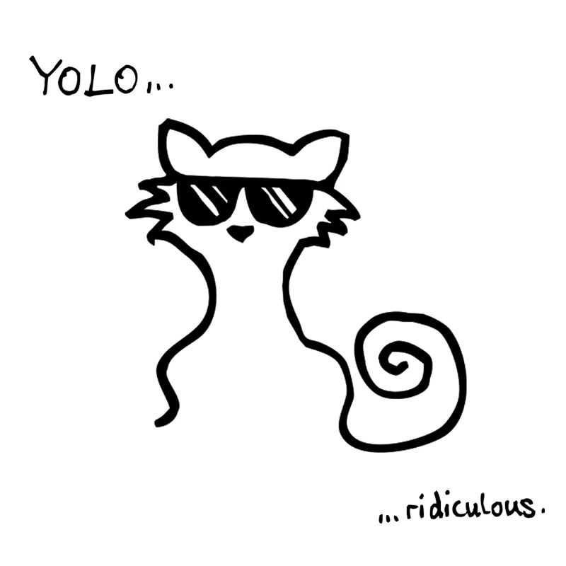 Yolo Cat