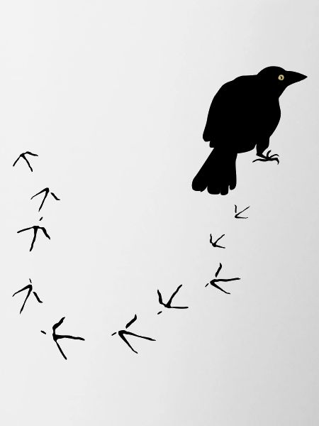 Crow