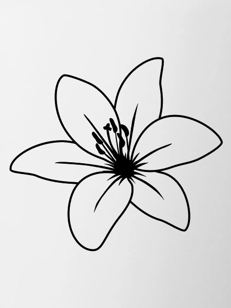 blume2_lilie_uea_1fb