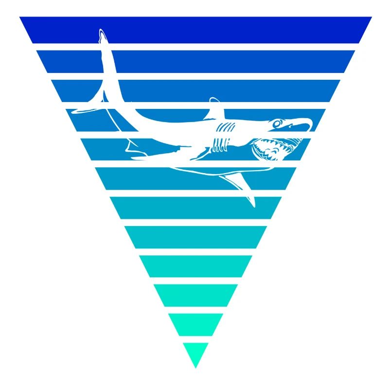 Cadeau requin / requin