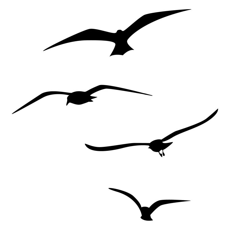 Les oiseaux qui volent