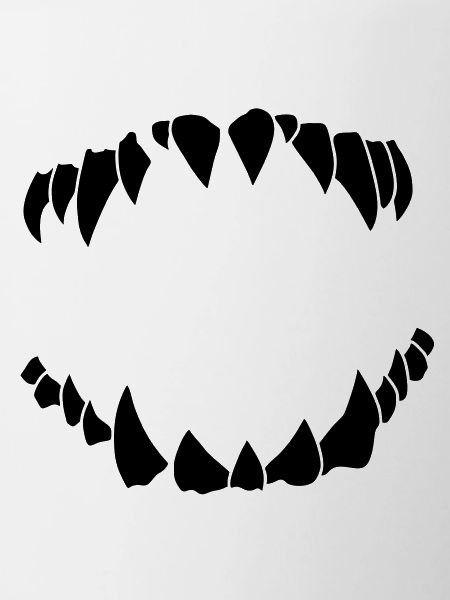 teeth