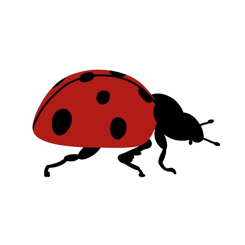 Ladybug lucky charm New Year