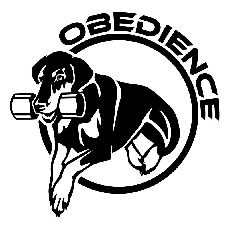 453 Dobermann Obedience