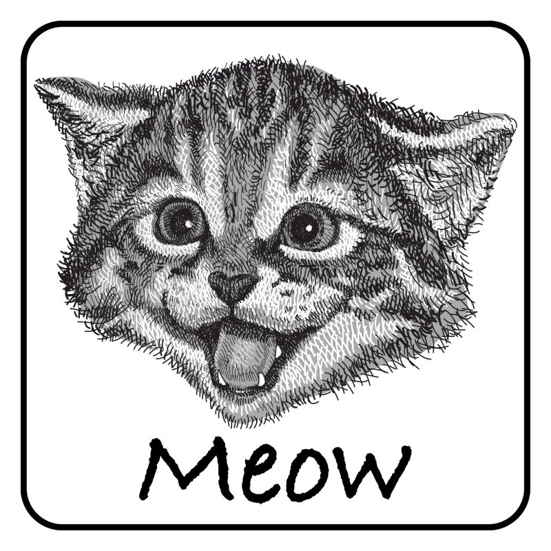 Cat drawn