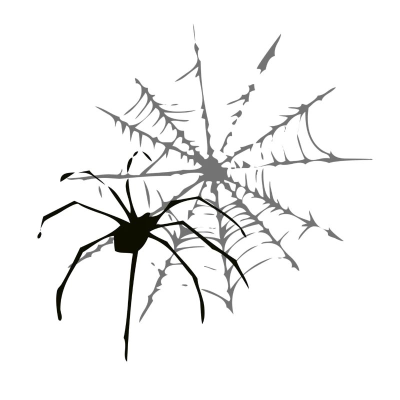 cobweb