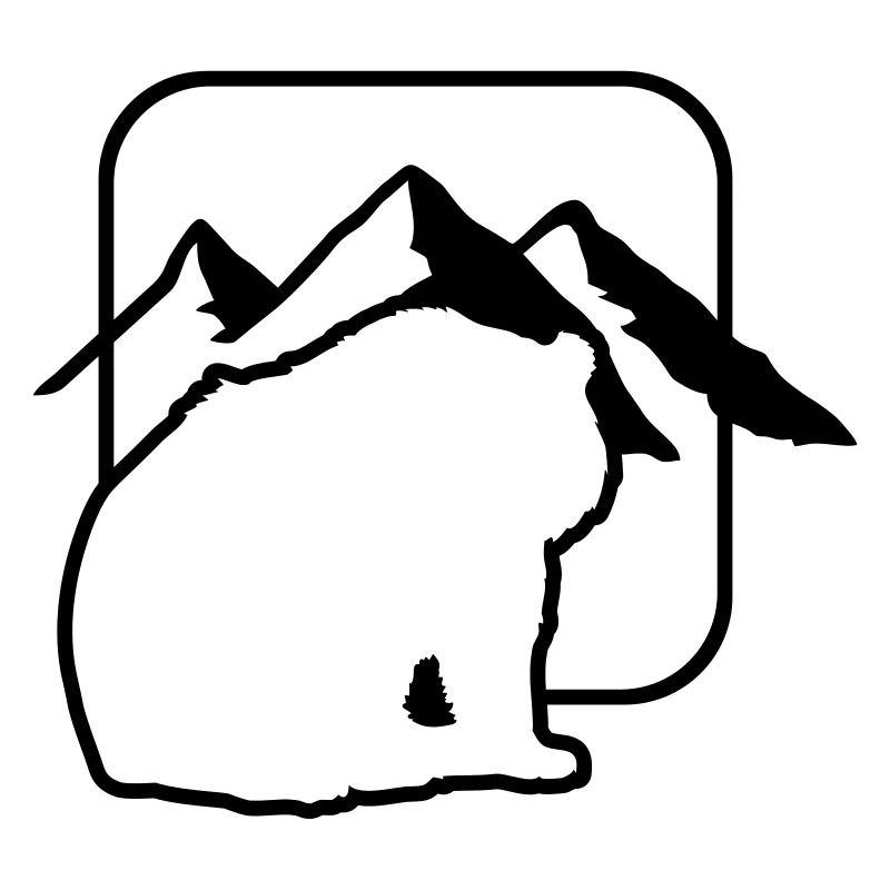 baer