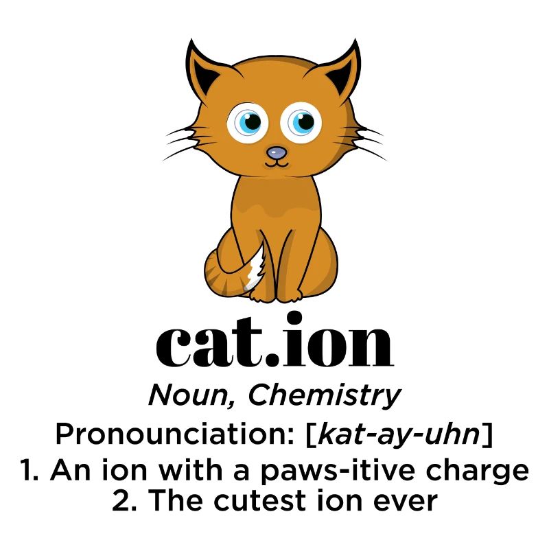 DEFINITION DE CATION