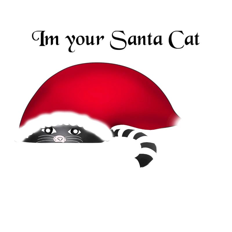 Chat santa