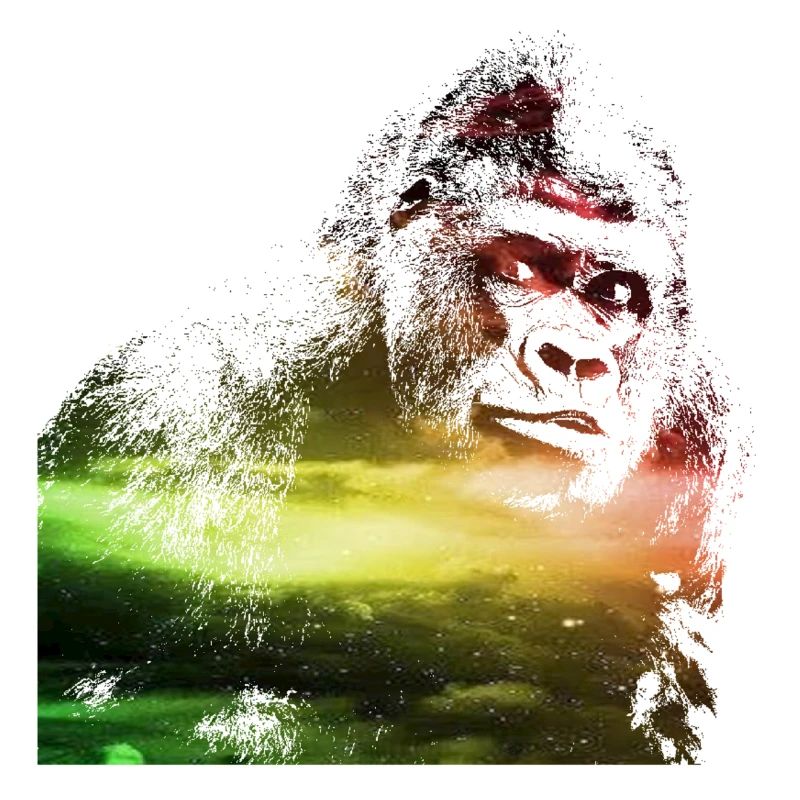 gorilla galaxy