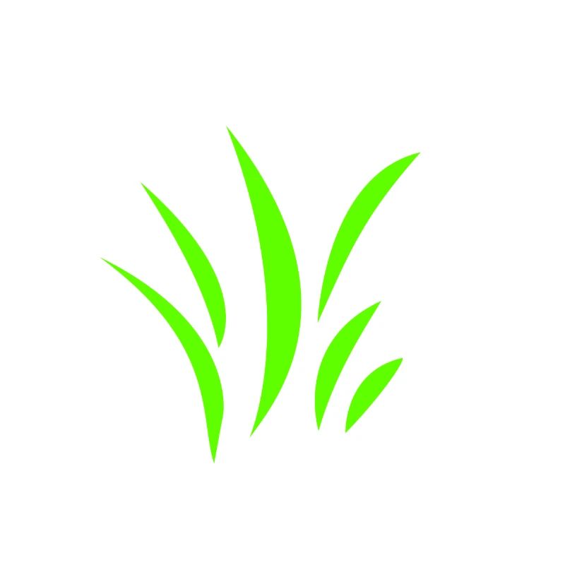 herbe