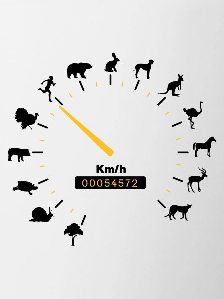 tachometer