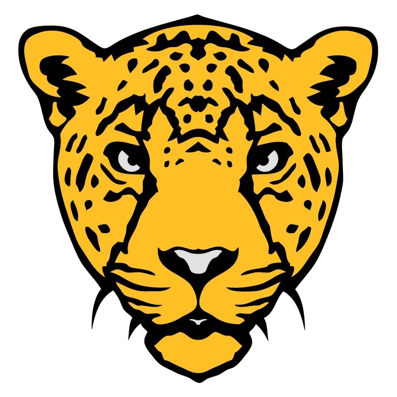 cheetah wild animal 18