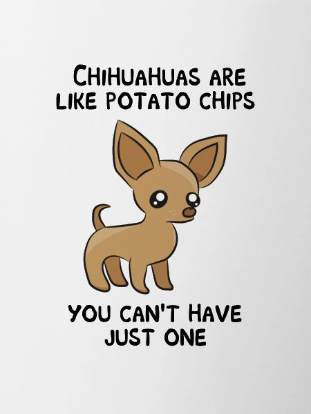 Chihuahua