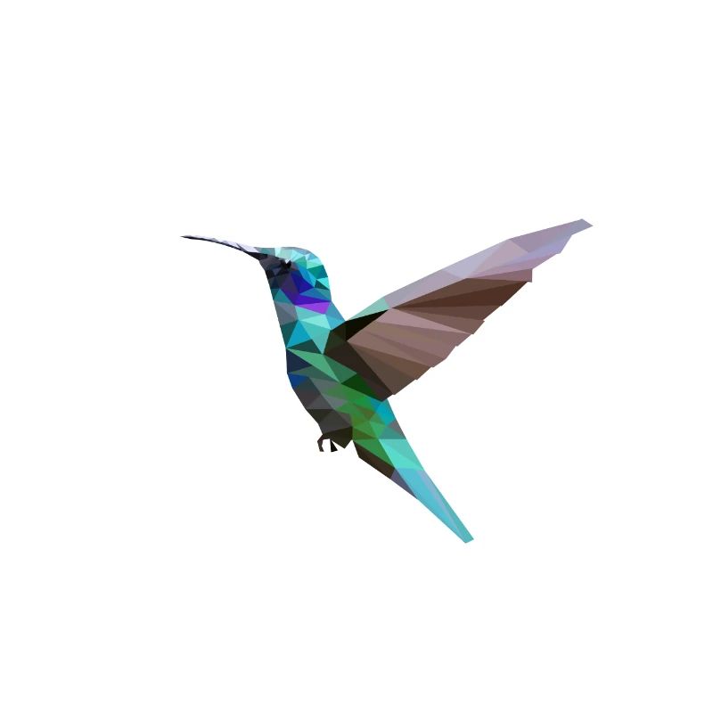 Colibri Polygone Colibri