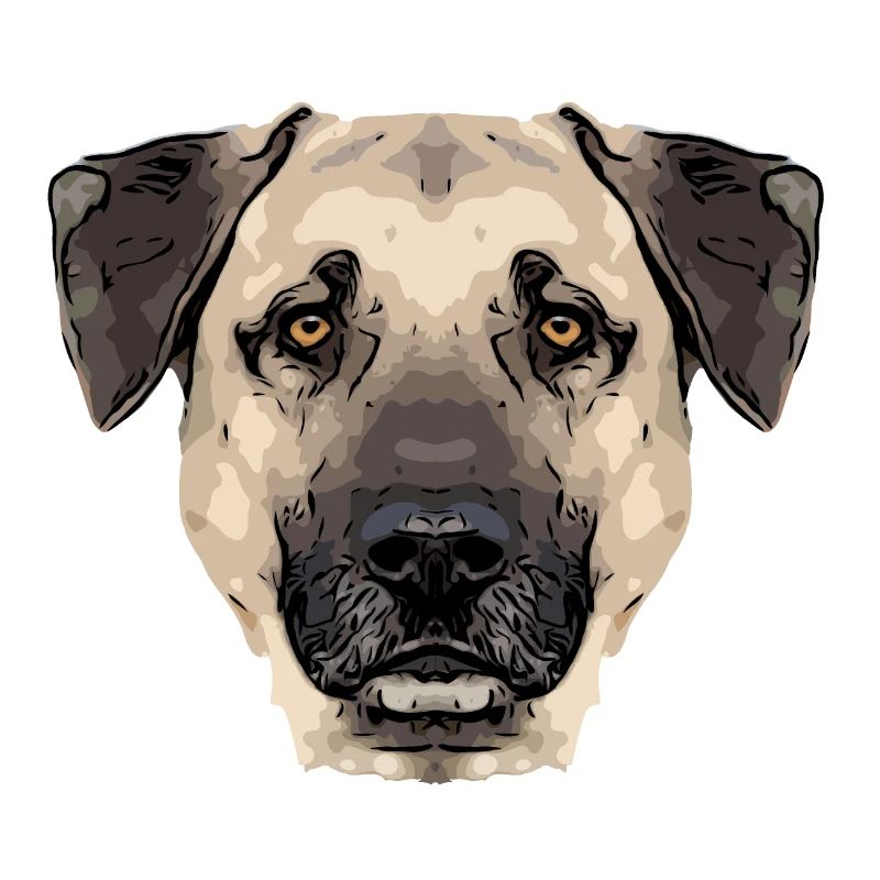 kangal1 1