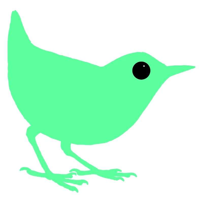 Oiseau turquoise
