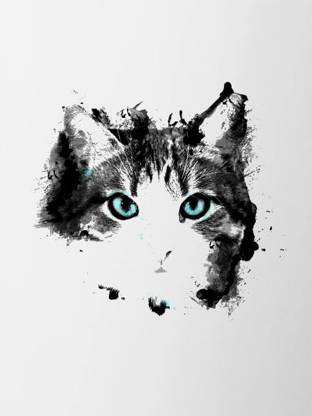 Cat eyes
