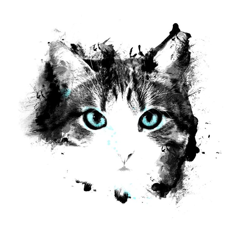 Cat eyes