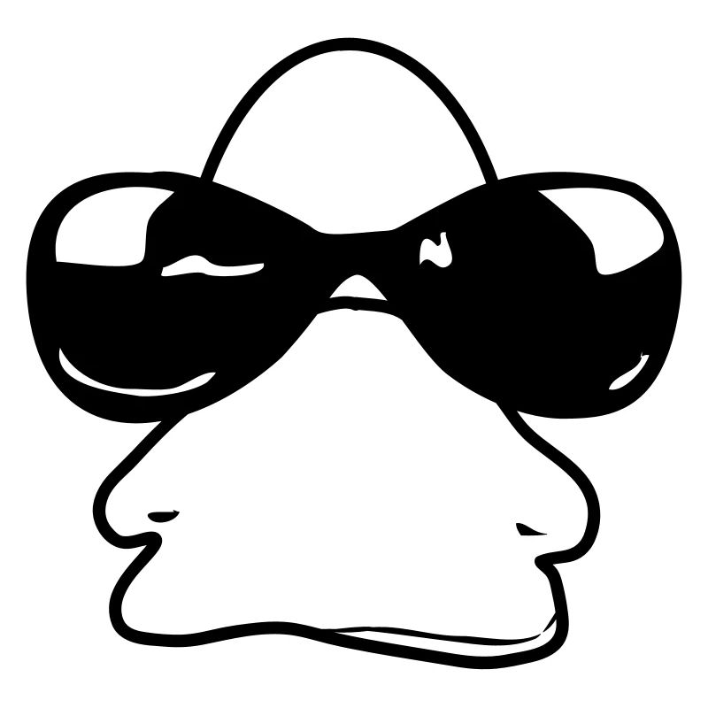 sunglasses_duck