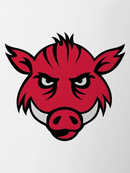 boar face 3c