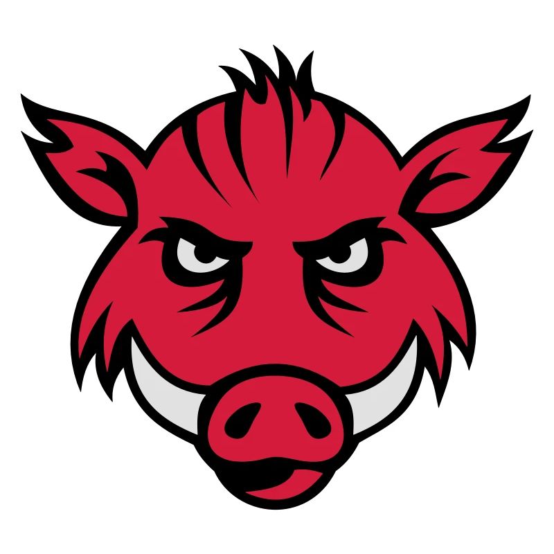 boar face 3c