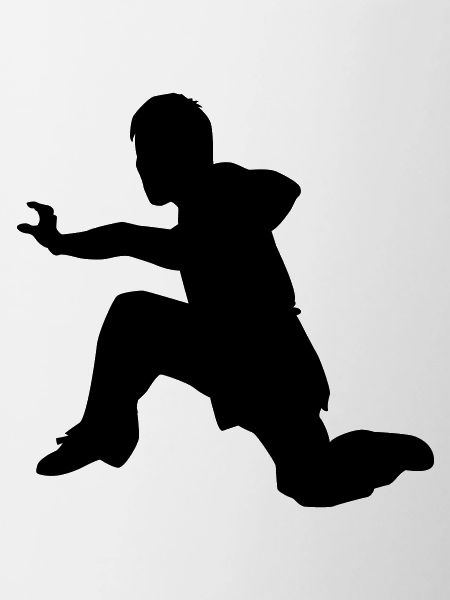 kung fu