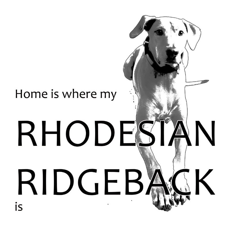 Home is where my Rhodesian Ridgeback is