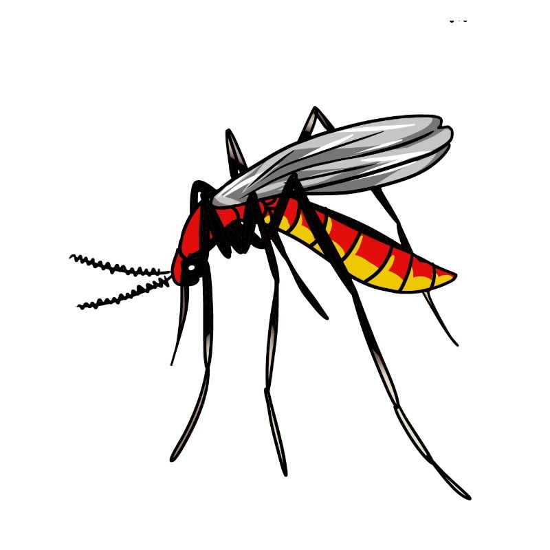 insecte, suceur de sang, insectes, moustique, moustique, ravageur