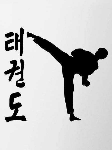 taekwondo high kick kick fight