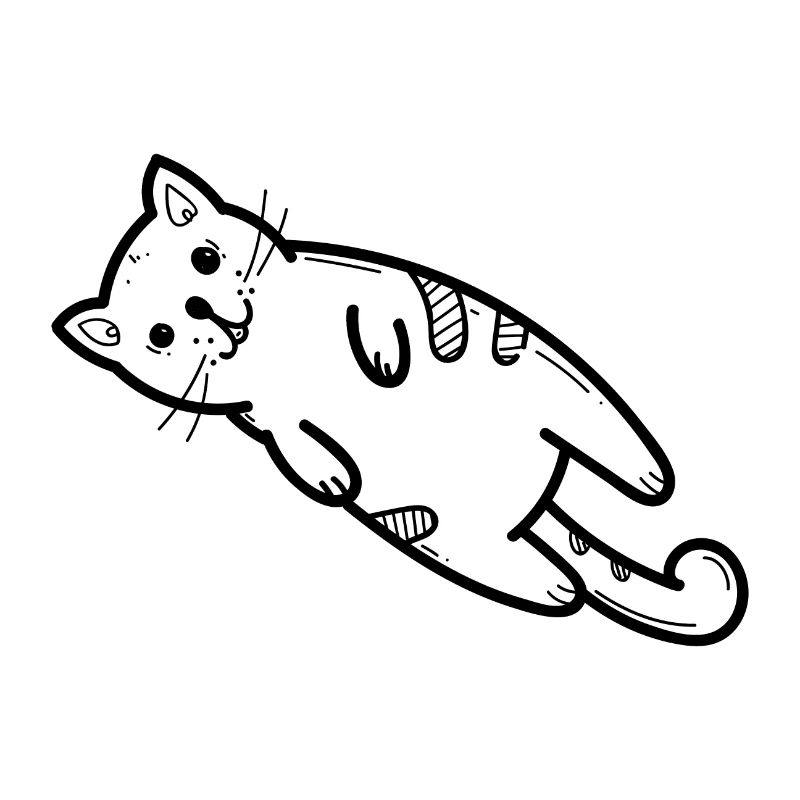 Idée cadeau dame chat chaton chat fou