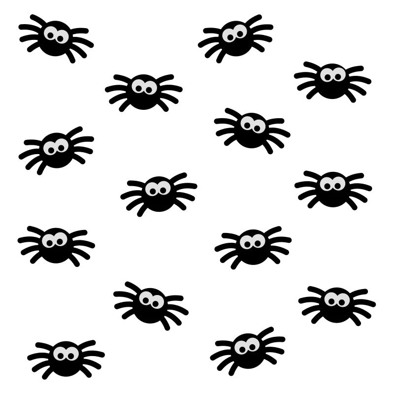 spiders