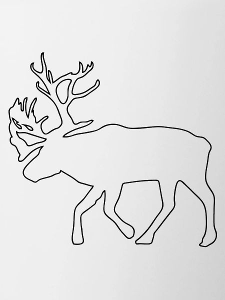 caribou - renne - noël