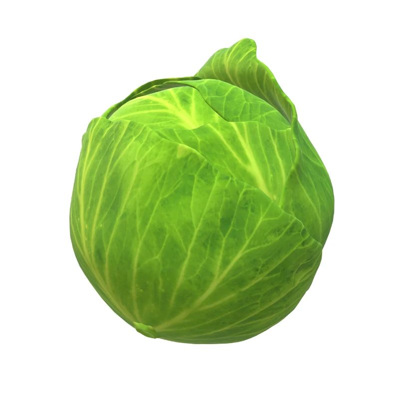 Kohl das gesunde Gemüse