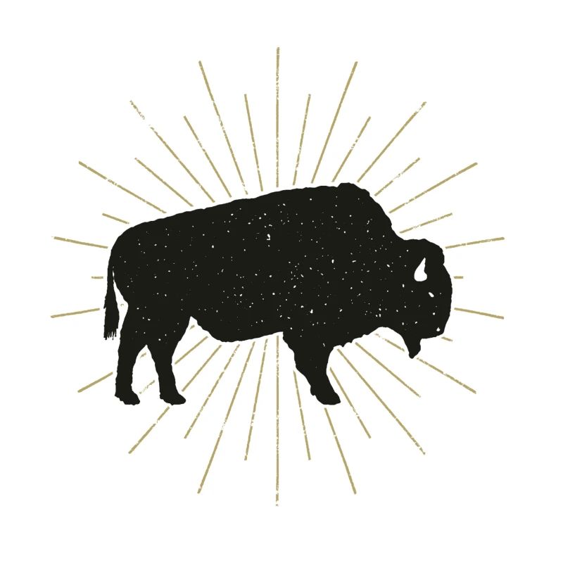 bison