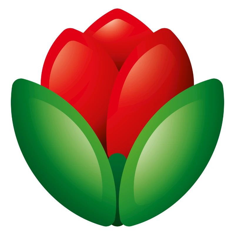 Smiley Flower Tulip